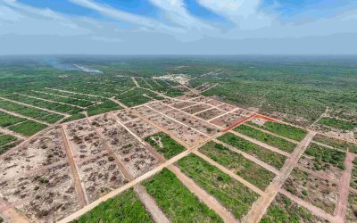 PROJECTO TERRA INFRA-ESTRUTURADA: EVITE A ANULAÇÃO DA SUA CANDIDATURA!